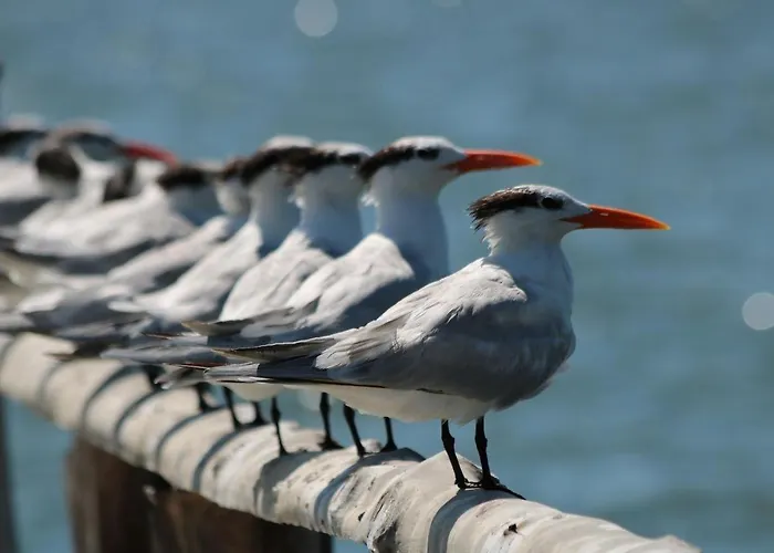 Agroturismo La Ensenada *